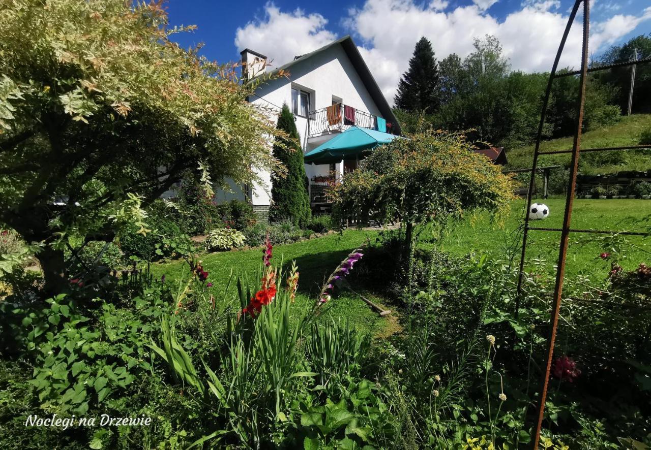 Noclegi Na Drzewie Cisna Exterior photo
